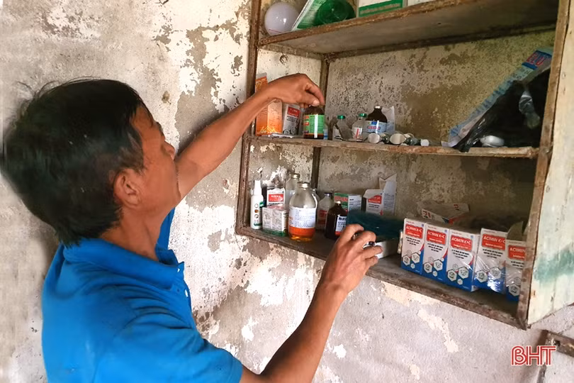 Nông dân đầu tiên ở Hà Tĩnh nuôi bò đực sữa của Tập đoàn TH True Milk