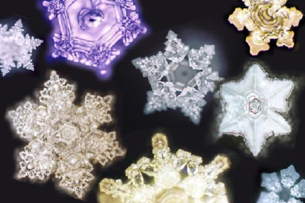 Đừng quên nói lời yêu thương mỗi sớm