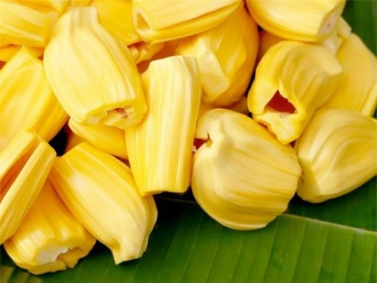 Sai lầm khi ăn mít khiến bạn dễ ngộ độc, gây hại cho sức khỏe