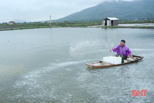Nuôi tôm an toàn sinh học, Kỳ Anh kỳ vọng vụ xuân hè thắng lợi ảnh 4 Nuôi tôm an toàn sinh học, Kỳ Anh kỳ vọng vụ xuân hè thắng lợi
