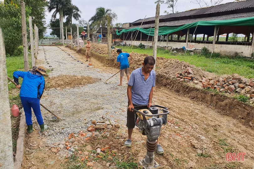 Nông dân đầu tiên ở Hà Tĩnh nuôi bò đực sữa của Tập đoàn TH True Milk