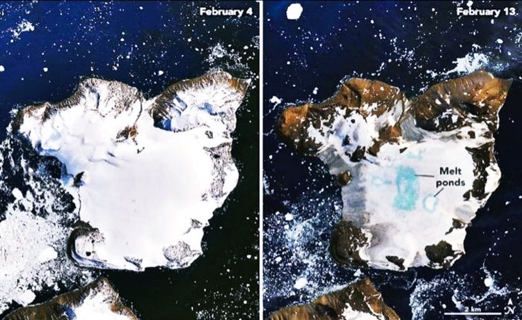 Lộ diện hòn đảo chưa từng được khám phá ở Nam Cực ảnh 3 Lộ diện hòn đảo chưa từng được khám phá ở Nam Cực