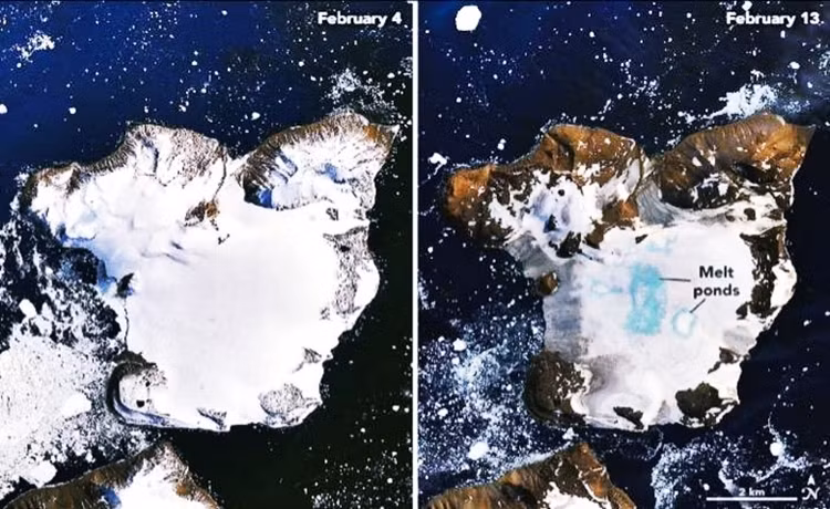 Lộ diện hòn đảo chưa từng được khám phá ở Nam Cực ảnh 3 Lộ diện hòn đảo chưa từng được khám phá ở Nam Cực