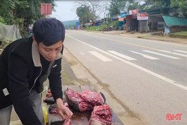 Buôn bán động vật hoang dã cuối năm… vẫn nóng!