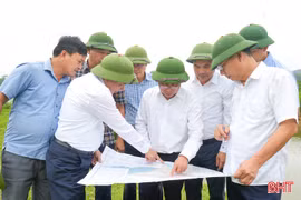 Viện Khoa học Thủy lợi khảo sát các vị trí trọng yếu dọc sông Rào Cái