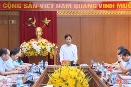 Phó Bí thư Thường trực Tỉnh ủy chủ trì hội nghị duyệt Đại hội Đảng bộ CCQ Đảng tỉnh