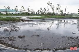 Trại lợn gây ô nhiễm kéo dài, người dân bức xúc