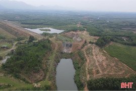 Nhiều hecta đất dự án hồ chứa nước Rào Trổ bị tái lấn chiếm