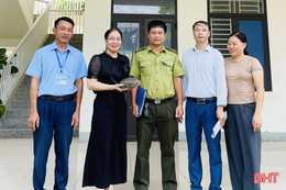 Phát hiện cá thể rùa núi vàng trong khuôn viên trường học ở TP Hà Tĩnh