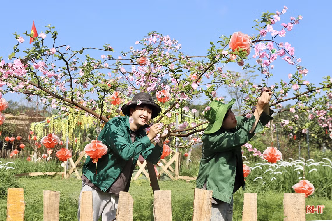 Trải nghiệm vườn táo hữu cơ trĩu quả ở Hà Tĩnh
