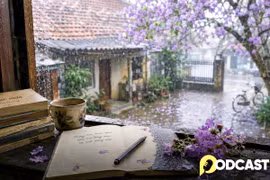 Podcast tản văn: Bằng lăng đã nhạt màu
