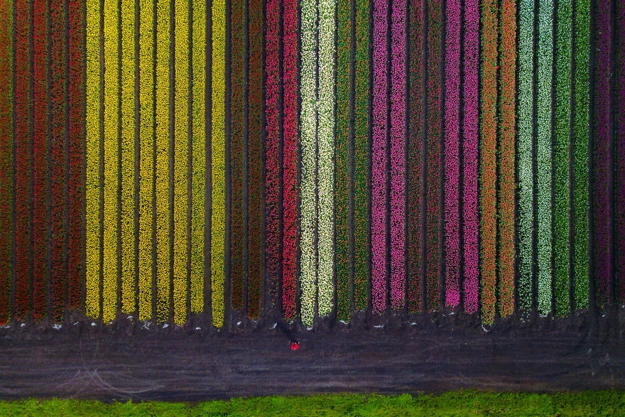 loat anh khien ban muon den ha lan ngay lap tuc