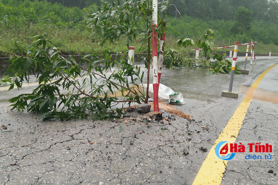 ql 15a phinh nut bun phun trao long duong