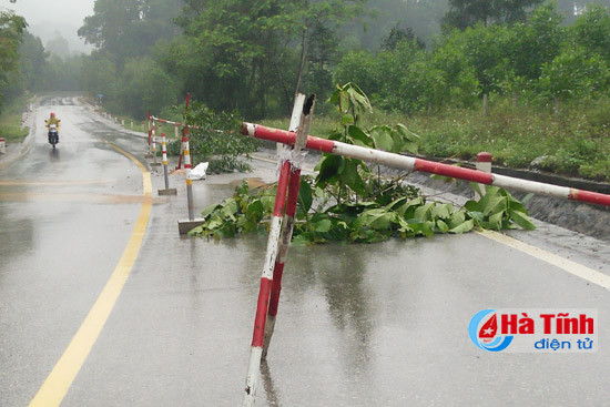 ql 15a phinh nut bun phun trao long duong