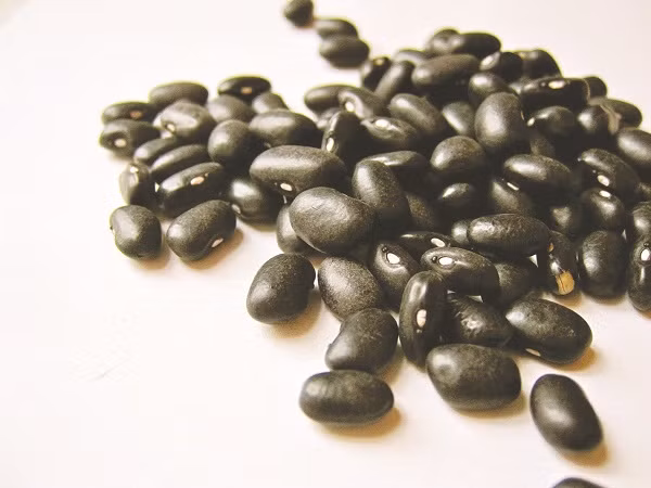 nhung bai thuoc co phuong duong da trang ngan