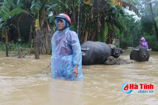 ha tinh 7 ho chua dang xa lu con 1 080 ho bi ngap