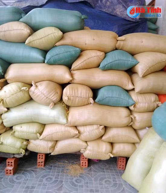 cam xuyen hoi ha ung pho mua lu va xa tran ke go