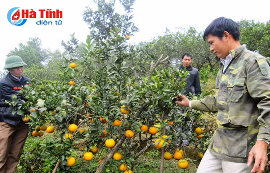 thu tram ty dong tu cam chanh