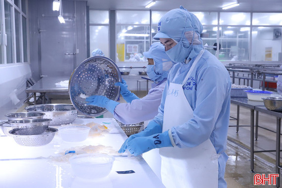 Thủy sản Nam Hà Tĩnh "lột xác", mở ra cơ hội việc làm mới cho nhiều lao động