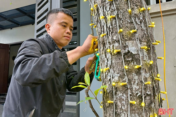 Thợ lắp đèn trang trí “chạy hết công suất”