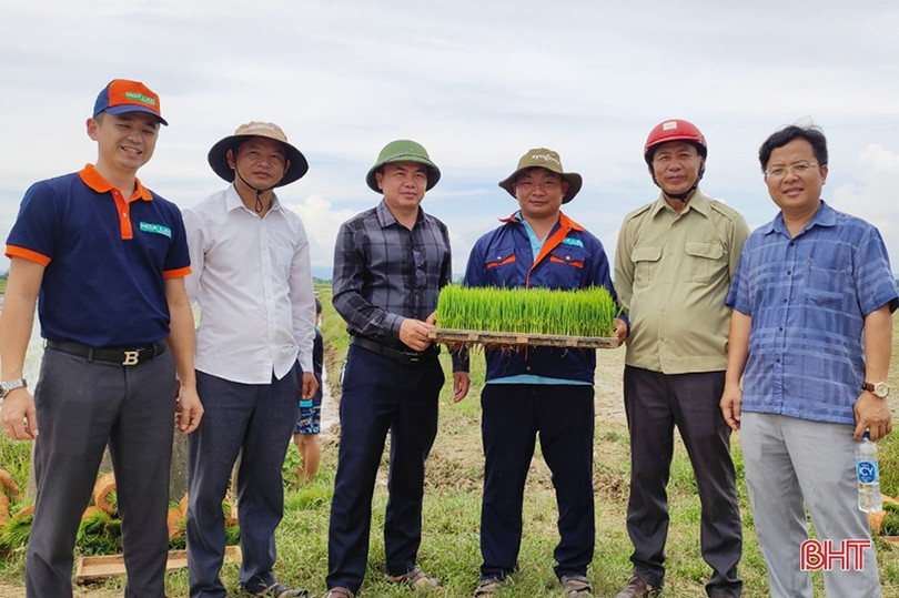 Cẩm Xuyên thí điểm mạ khay, cấy máy sản xuất lúa theo hướng hữu cơ