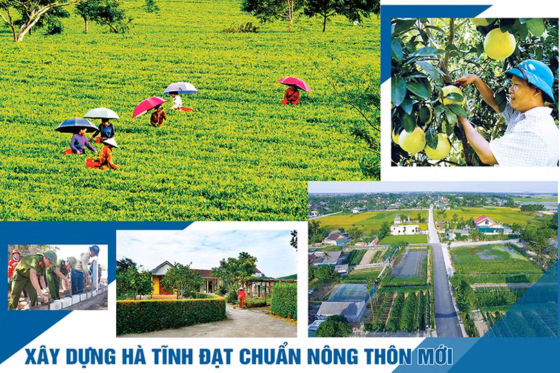 Kết quả thực hiện các phong trào thi đua do Chính phủ phát động
