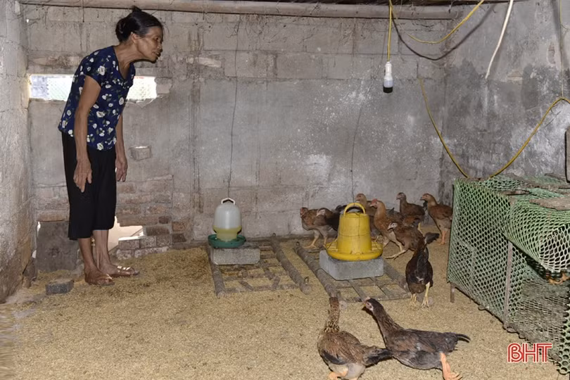 Thị xã Hồng Lĩnh tiếp sức cho người nghèo bằng hỗ trợ sinh kế