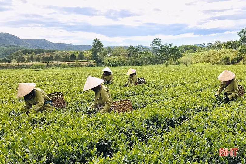 Học và làm theo Bác - động lực thúc đẩy các phong trào thi đua