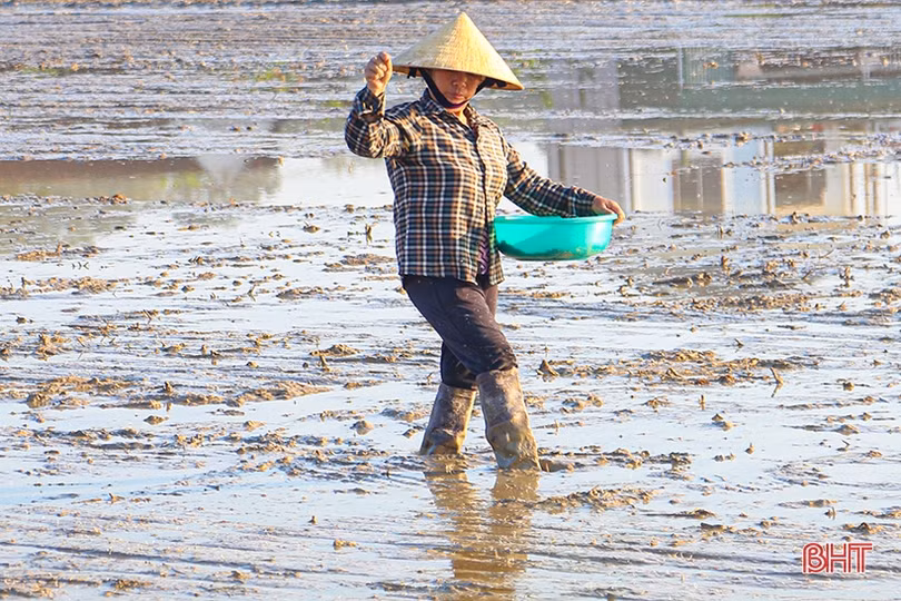Sản xuất hè thu “chạy đua” với thời vụ