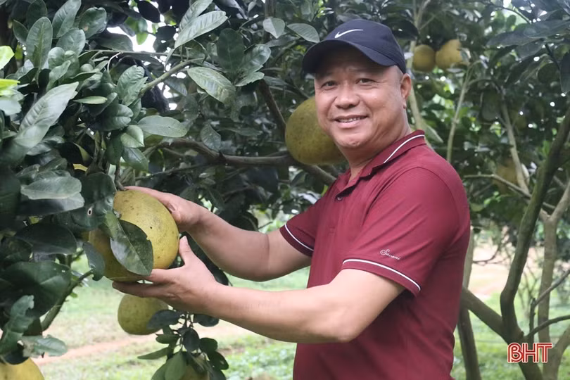 Những bông hoa đẹp trong vườn hoa thi đua yêu nước của Hà Tĩnh ảnh 8 Những bông hoa đẹp trong vườn hoa thi đua yêu nước của Hà Tĩnh