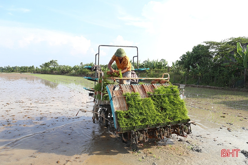 Chủ tịch UBND tỉnh Hà Tĩnh chỉ đạo đẩy mạnh công tác khuyến nông