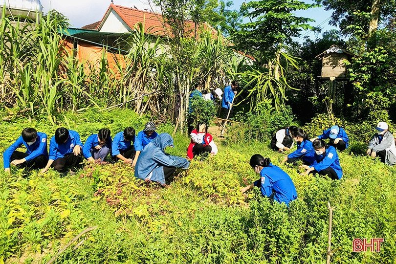 Tuổi trẻ Vũ Quang triển khai nhiều phần việc hướng về cộng đồng
