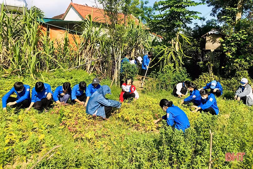 Tuổi trẻ Vũ Quang triển khai nhiều phần việc hướng về cộng đồng