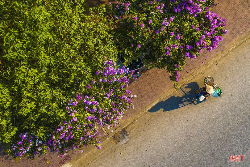 Thời tiết Hà Tĩnh hôm nay: Ngày nắng, mưa rào về đêm