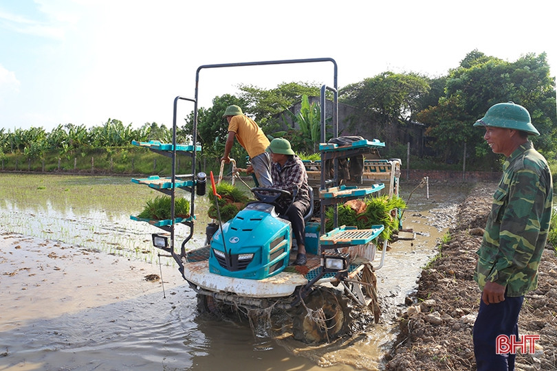 Thí điểm mô hình sản xuất lúa hữu cơ ở Can Lộc