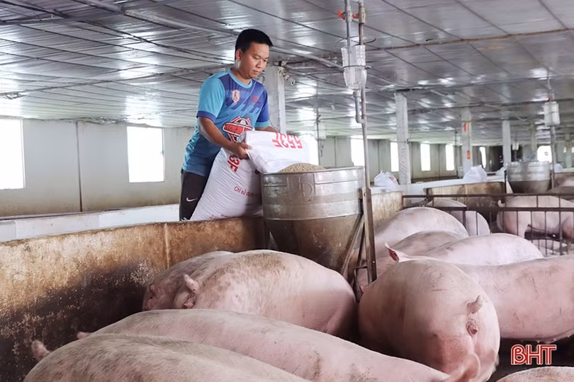 Lan toả việc học và làm theo Bác ở huyện miền núi Vũ Quang