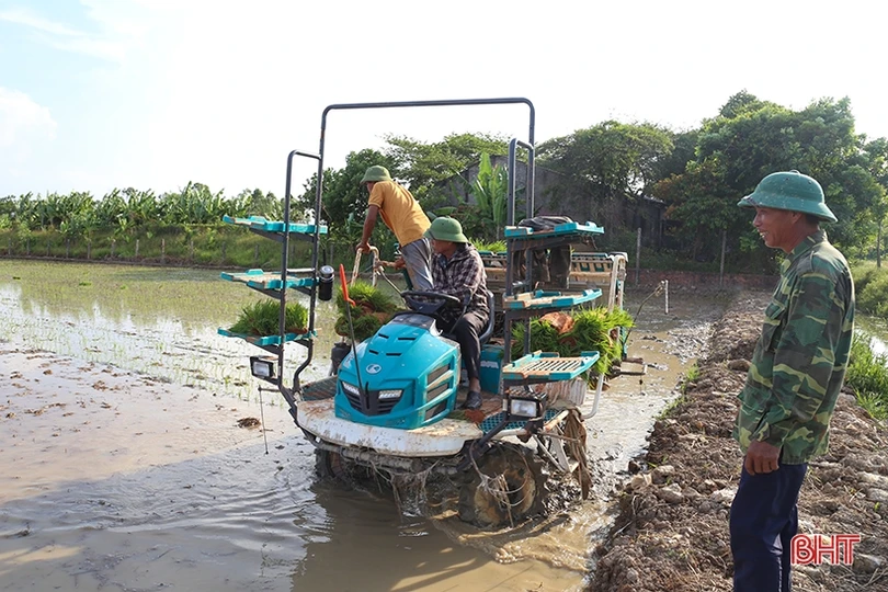 Sản xuất hè thu “chạy đua” với thời vụ