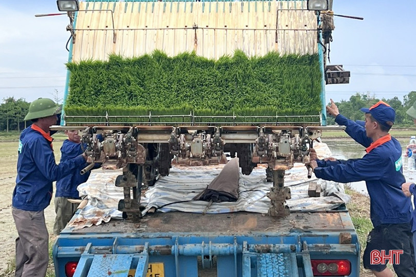 Cẩm Xuyên thí điểm mạ khay, cấy máy sản xuất lúa theo hướng hữu cơ