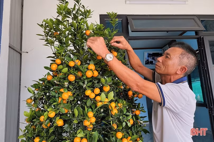 Người dân Hà Tĩnh phấn khởi đón tết đầu tiên trong khu tái định cư cao tốc Bắc - Nam