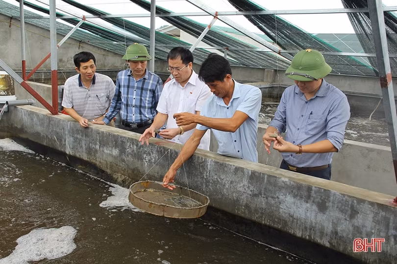 Thủ tướng Chính phủ công nhận huyện Lộc Hà đạt chuẩn nông thôn mới