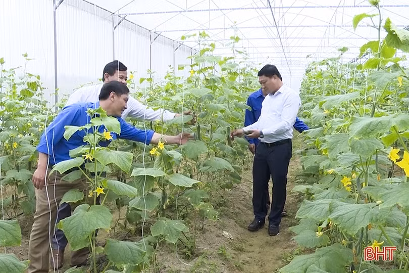 Đức Thọ khơi dậy sức dân xây dựng huyện NTM nâng cao