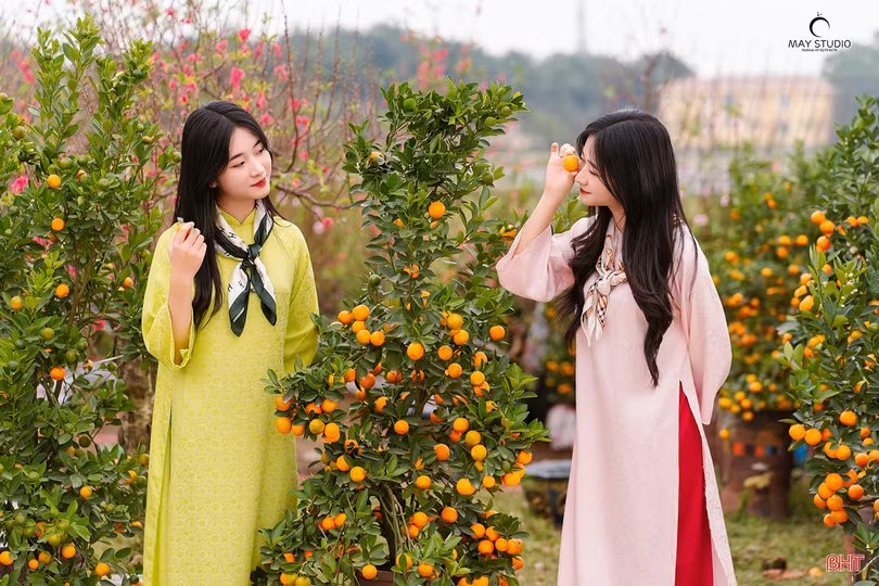 Chào một mùa xuân mới...