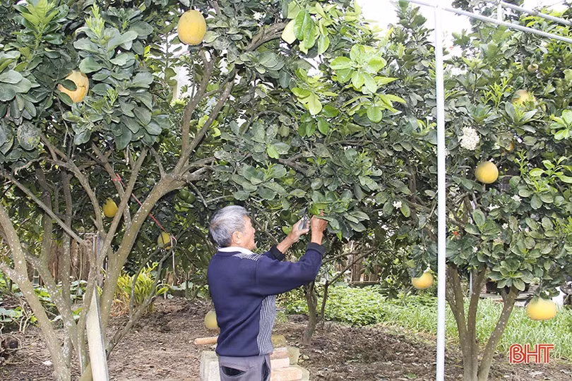 Xuân vui trên quê hương cố Tổng Bí thư Trần Phú