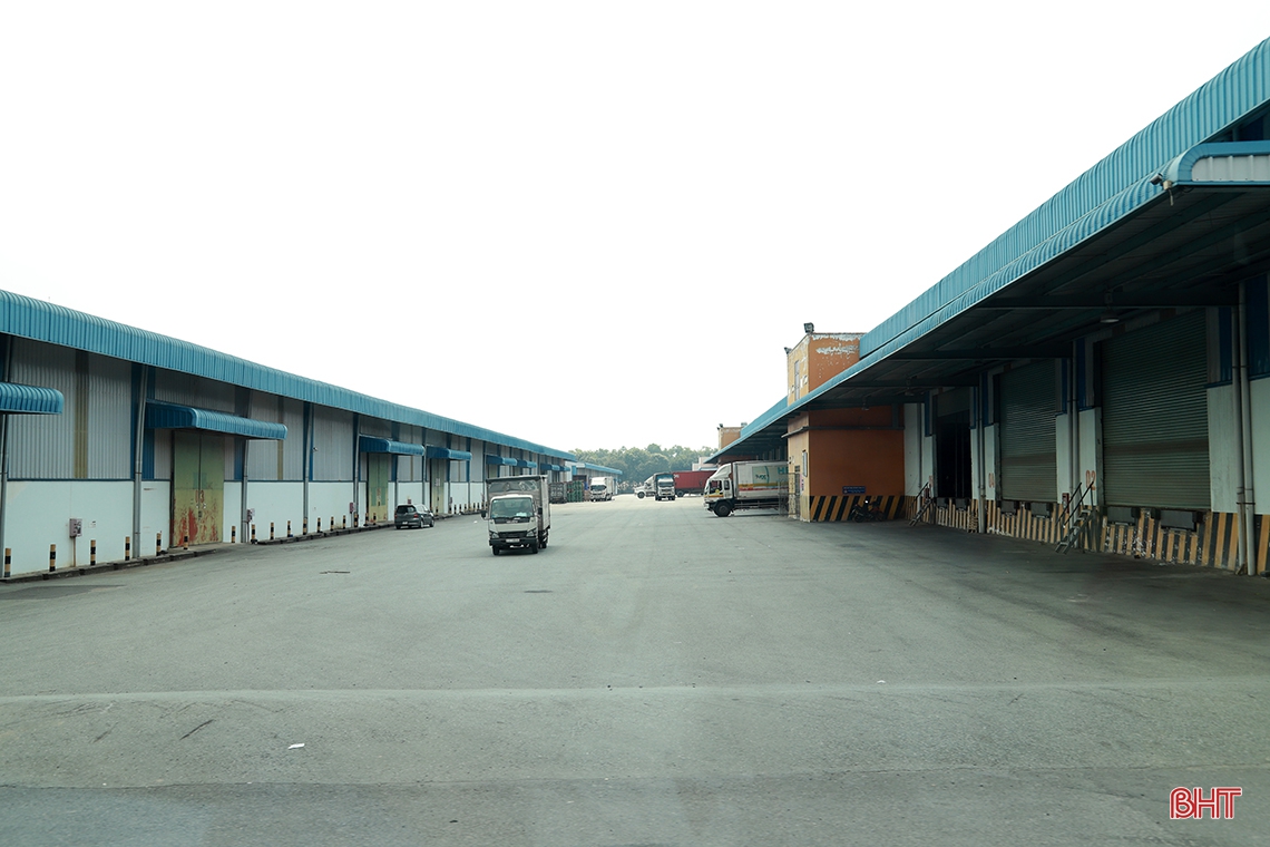 Lãnh đạo Hà Tĩnh tham quan Tổng Công ty Tân Cảng Sài Gòn