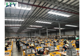 Cách bố trí đèn nhà xưởng đạt chuẩn tiết kiệm điện