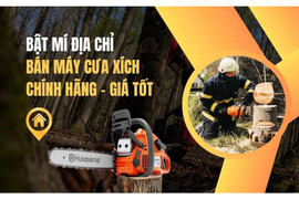 Bật mí địa chỉ bán máy cưa xích chính hãng giá tốt