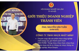 5 lý do doanh nghiệp nên chuyển sang pallet nhựa ngay hôm nay
