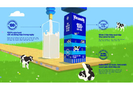 Mua sữa tươi Vinamilk và TH true Milk chính hãng tại AVAKids