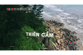 Hành trình kết nối xanh tại cung bậc đàn trời Thiên Cầm