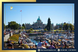 Điều kiện và lộ trình định cư Canada diện PNP thành công